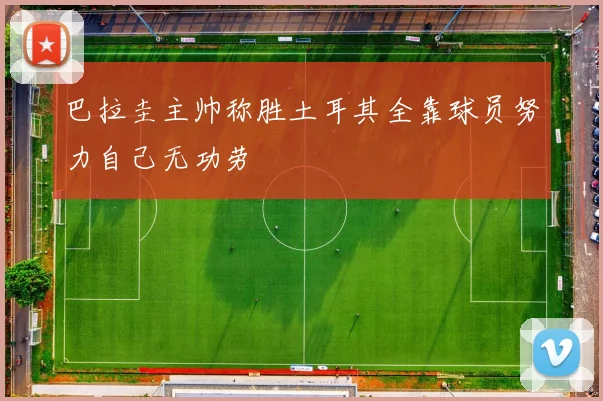 巴拉圭主帅称胜土耳其全靠球员努力自己无功劳